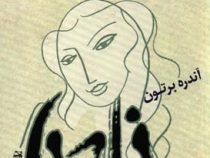 نادیا (آندره برتون، کاوه میرعباسی)