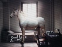 سفر در اتاق تحریر (پل استر، مهسا ملک مرزبان)