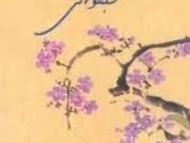 شبخوانی (محمدرضا شفیعی کدکنی)