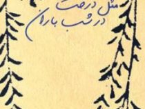 مثل درخت در شب باران (محمدرضا شفیعی کدکنی)