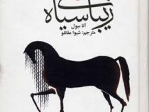 زیبای سیاه