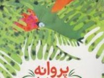 پروانه تو را می شناسم (نگار عجایبی)