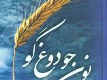 نون جو دوغ گو (محمد ابراهیمی باستانی پاریزی)