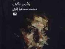 خنده در تاریکی (ولادیمیر ناباکوف.محمد اسماعیل فلزی)
