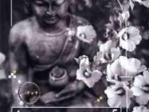آیورودا به زبان آدمیزاد (آنجلا هوپ ماری.کبری ذوله)