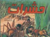 صد 100 حقیقت درباره ی حشرات
