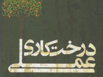 درخت کاری عملی 1 : درختان میوه و مرکبات (غلامرضا وزیریالهی)