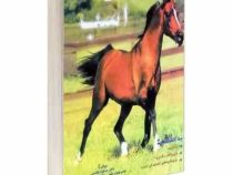 پرورش عملی اسب (مسعود هاشمی)