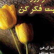 هر روز مثبت فکر کن (لوئیز .ال .هی . نفیسه معتکف . قطع خشتی کوچک)