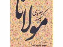 گنجینه معنوی مولانا (سید حسین نصر . ویلیام چیتیک . آنماری شیمل . شهاب الدین عباسی)