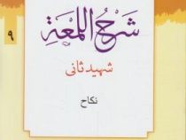 ترجمه و تبیین شرح اللمعه شهید ثانی . جلد 9 : نکاح ( شهید ثانی.علی شیروانی )
