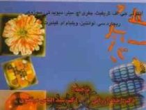 اصول تجزیه و تحلیل ژنتیک ویرایش ششم جلد دوم (آنتونی جی اف گریفیث گیلبرت . احمد ارزانی . سید الیاس مر