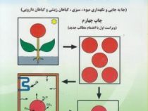 فیزیولوژی بعد از برداشت ویرایش جدید با اضافات (جا به جایی و نگهداری میوه.سبزی.گیاهان زینتی.گیاهان دا