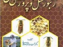 زنبور عسل و پرورش آن (شهرستانی)