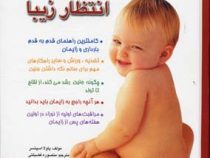 9 ماه انتظار زیبا (معیار)
