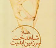 داستان شاهدخت سرزمین ابدیت (آرش حجازی)