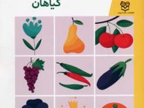 مجموعه کتاب های پیش از دبستان : گیاهان .جلد 10 (فاطمه ابطحی)