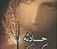 حادثه یک نگاه (نسرین سیفی)