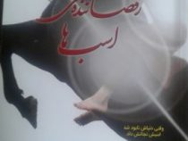 رقصاننده ی اسب ها (جوجو مویز . تبسم ارغده)