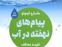 پیام های نهفته در آب : به پیام های آب گوش فرا دهید و آن را جذب کنید ( ماسارو ایموتو . نفیسه معتکف)