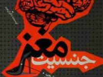 جنسیت مغز ( دکتر آن مویر . مهدی قراچه داغی )