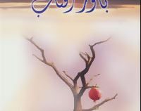 باور آفتاب (فهیمه رحیمی)