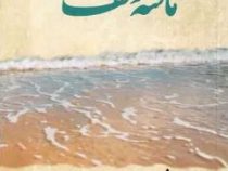 ماسه و کف (جبران خلیل جبران . محمد ابراهیمی کاوری)