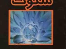 درپهنه سکوت (ویجی اسواران . میثم ملکی)
