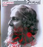 سنگ های گرسنه (سی داستان کوتاه)(رابیندرانات تاگور.عبدالعلی براتی)