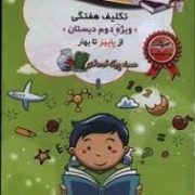 پیک هفته صیانت ویژه دوم دبستان