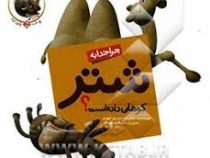 چرا خدا چنین کرد؟ جلد 5: چرا خدا به شتر کوهاتن داده است؟ (غلامرضا حیدری ابهر)
