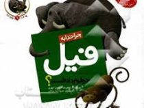 چرا خدا چنین کرد؟ جلد 1: چرا خدا به فیل خرطوم داده است؟ (غلامرضا حیدری ابهر)