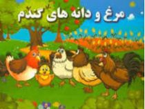 مرغ و دانه های گندم
