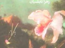 تنها ابلهان زنده می مانند (کیت ویلر، زهرا تابشیان)