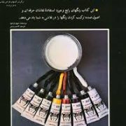ترکیب رنگ (خوزه پارامون)