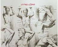 آموزش هنر طراحی طراحی آناتومی بدن (جیوانی چیواردی)