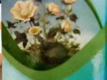 گیاهان خاص : علوم پایه (بابک اعتمادی)