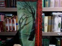 باران (گلچین گیلانی.مهردخت امینی)