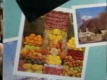 oxford photo dictioary آکسفورد فوتو دیکشنری