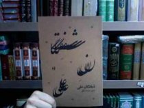 شیفتگان حضرت علی علیه السلام (عبدالله شکری)
