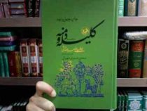 ترجمه کلیله و دمنه (نصرالله بن محمد نصرالله منشی . مجتبی مینوی طهرانی)