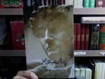 زندگی میکل آنژ (رومن رولان . اسماعیل سعادت)
