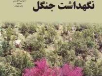 نگهداشت جنگل (محمد حسین جزیره ای)