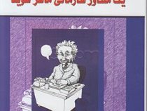 چگونه یک مشاور سازمانی ماهر شوید ( مارسیا میسلین . شهناز متظهری )