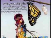 ما برای عشق متولد شده ایم : عشق اصل هستی است ( لئو بو سکالیا . نرگس حیدری )