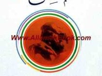 منطق جلد 1 همراه با متن عربی ( علامه محمد رضا مظفر .علی شیروانی )