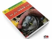 چگونه عاشقانه زندگی کنیم ؟ کتابی برای دستیابی به احساس ... (وین دایر-فریبا سبز چمنی)