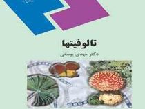 تالوفیتها (مهدی یوسفی)