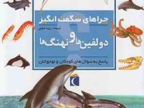چراهای شگفت انگیز . پاسخ به سوال های کودکان و نوجوانان :دلفین ها و نهنگ ها (کریستین گانزی.رویا خوئی)