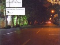 تصویر دختری در آخرین لحظه (سیامک گلشیری)